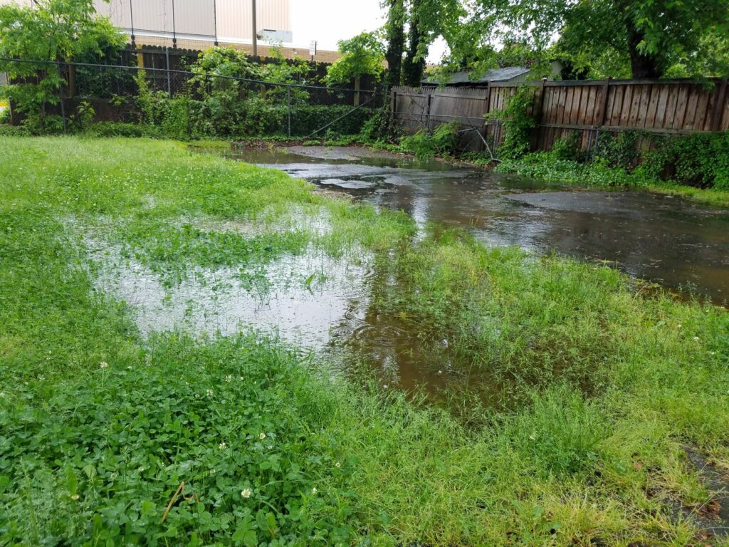 What Should You Do If Your Yard Is Always Wet?