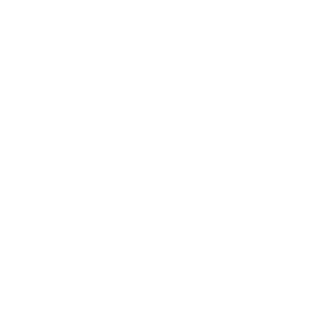 Stone Solution