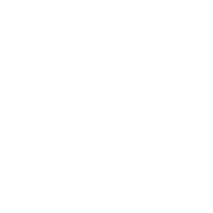 Roanoke Cement