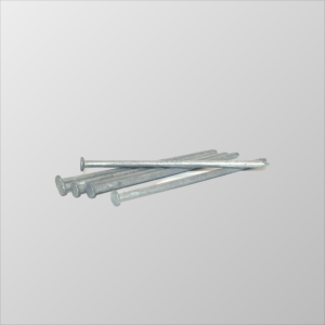 Landscape Spikes, 10" Galvanized