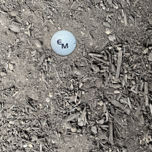 Top Soil