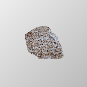 Grass Seed