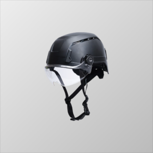 SL T2 Visor